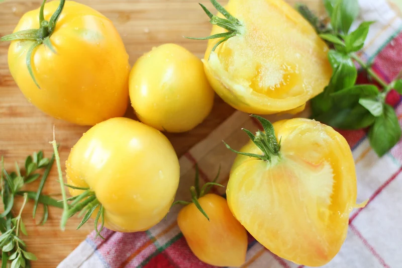 Bio-Tomate 'Sonnenherz'