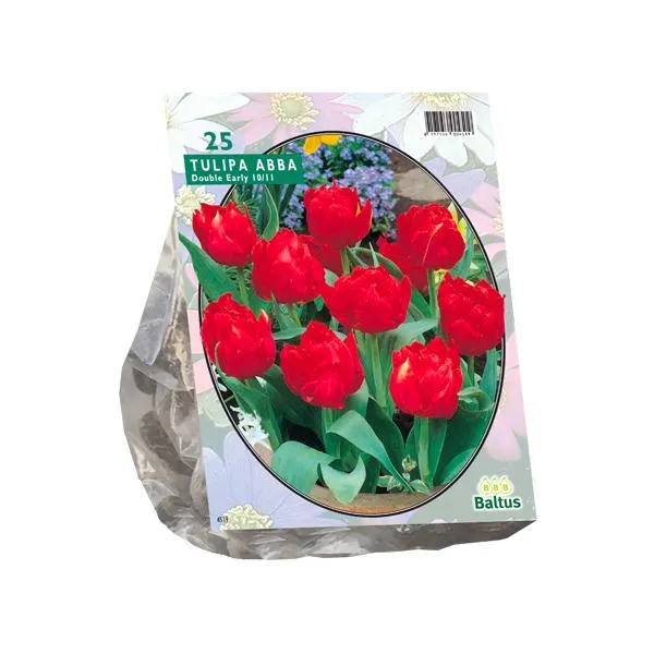 Tulipa Double Early Abba - 20 Stück