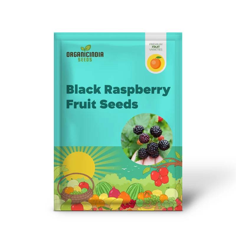 Black Raspberry Fruit Seeds