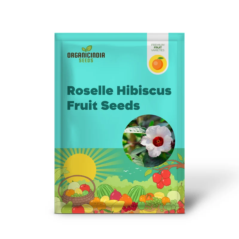 Roselle Hibiscus Seeds – Red Calyx, Hardy & High-Yield Variety