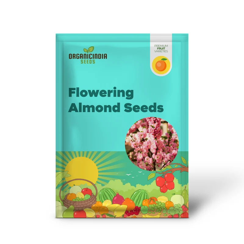 Flowering Almond Seeds – Ornamental Garden Shrub for Beautiful Spring Blooms