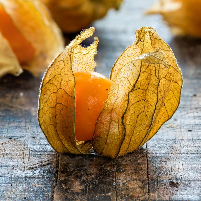 Pineapple Tomatillo Fruit Seeds