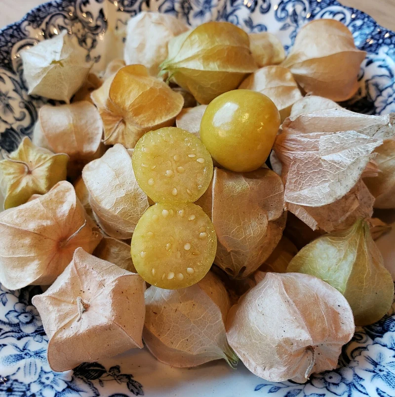 Pineapple Tomatillo Fruit Seeds