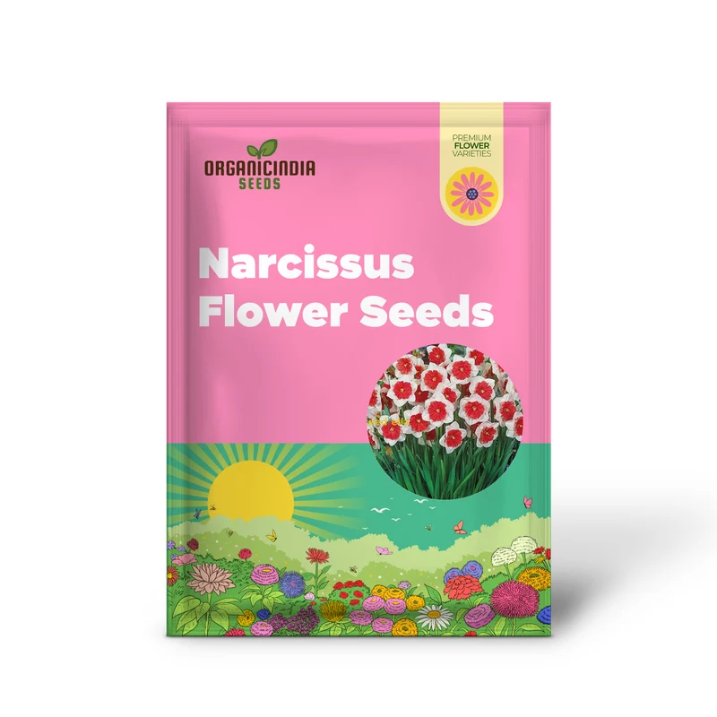 Narcissus White Red Seeds – Elegant Flower Bulbs for Garden Planting