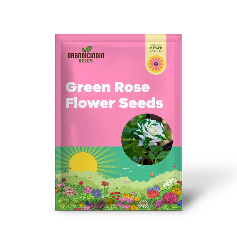 Rose Seeds (Green Rose Flower Seeds) - Green Blooms with Red Edges, Easy-Grow Perennial