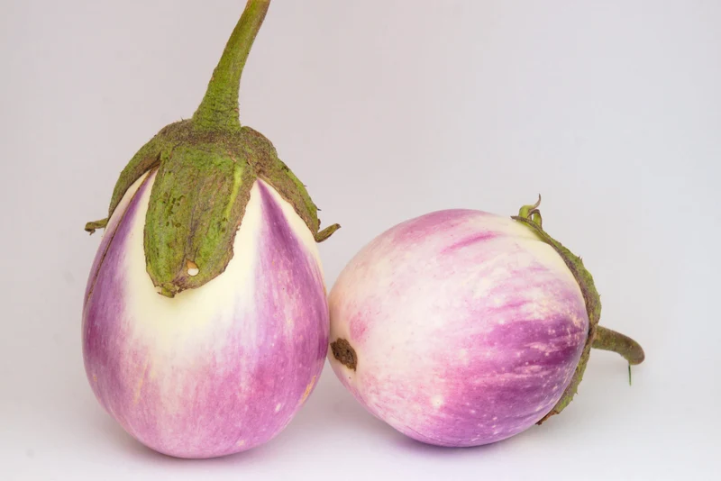 Bio-Aubergine 'Rotonda bianca'
