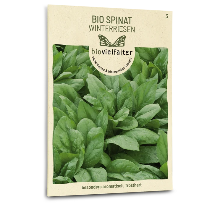 Bio-Spinat 'Winterriesen'