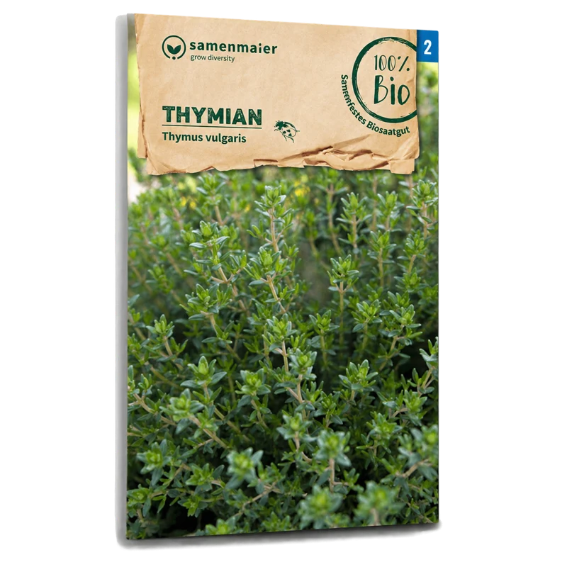 Bio-Thymian
