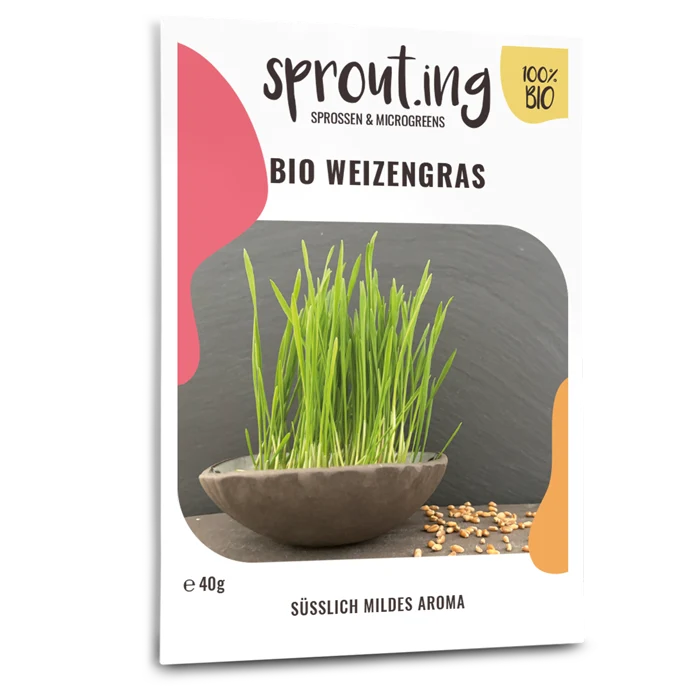 Bio-Weizengras Sprossen