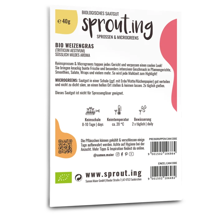 Bio-Weizengras Sprossen