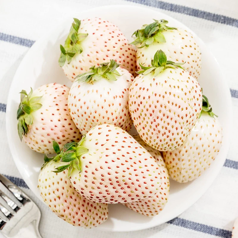 White Soul Strawberry Fruit Seeds