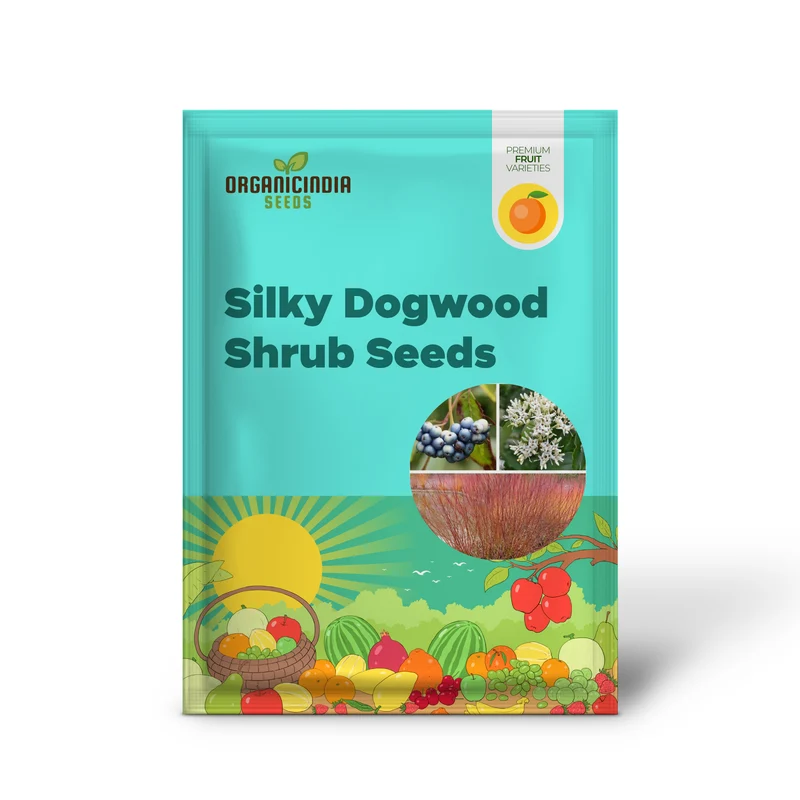 Silky Dogwood Shrub (Cornus amomum syn. Coerulea) – White Flower & Silver-Blue Berry Seeds (Kinnikinnik, Red Willow)