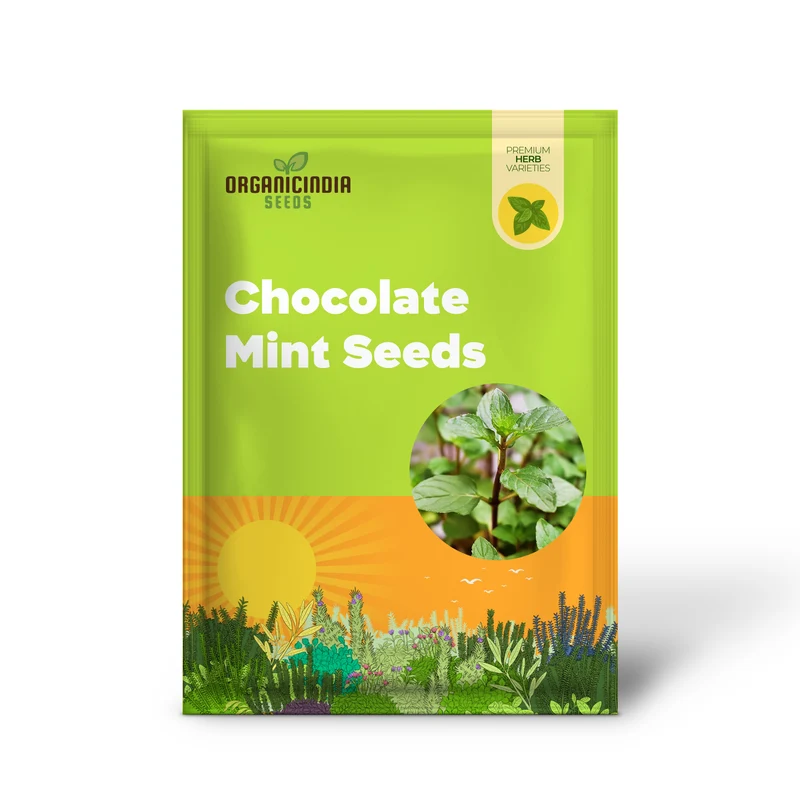 Chocolate Mint Seeds Perennial, Fast-Growing for Patio And Container Garden