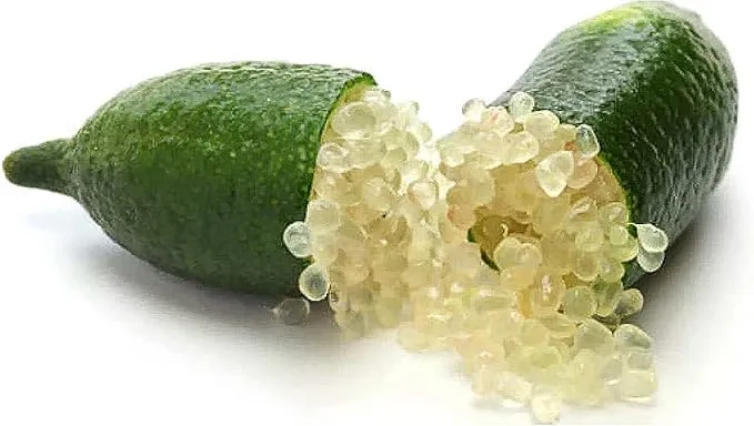 Garden Finger Lime Seeds, Non-GMO Evergreen Perennial, Low Maintenance Cooking Plant