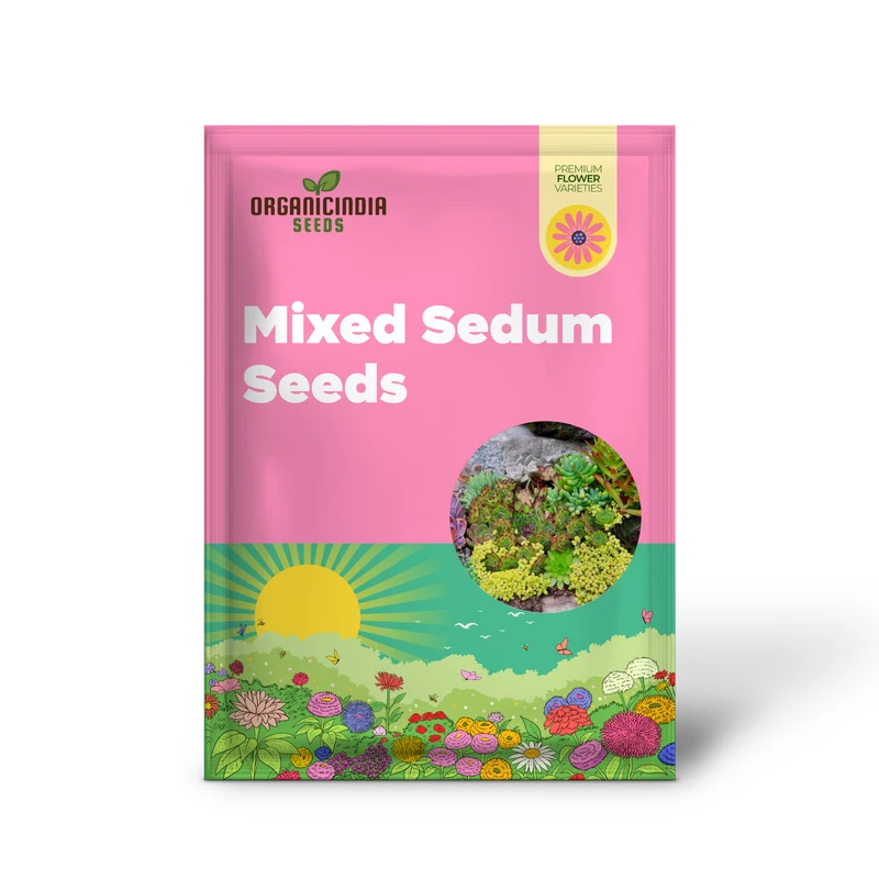 Sedum Seeds (Mixed Sedum Seeds) - Easy-Care Perennial for Containers and Ground Cover