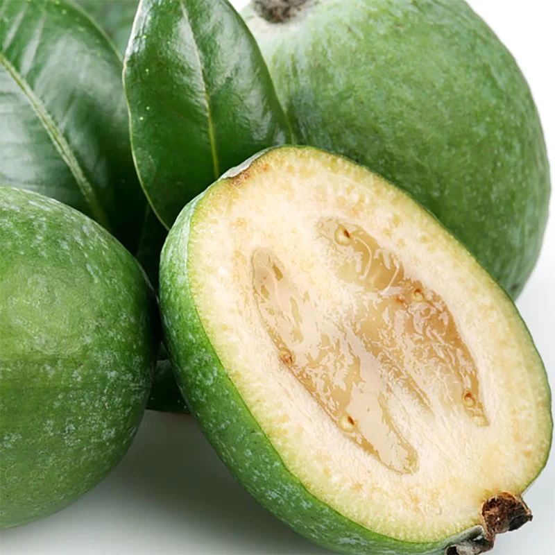 Pineapple Guava Fruit Seeds