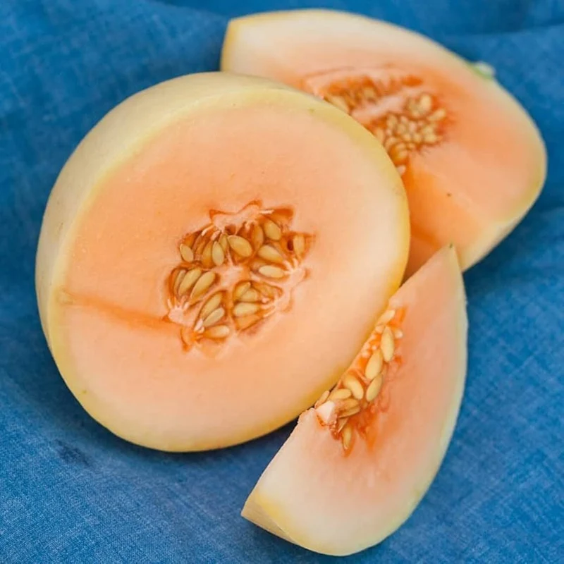 Honeydew Melon Seeds