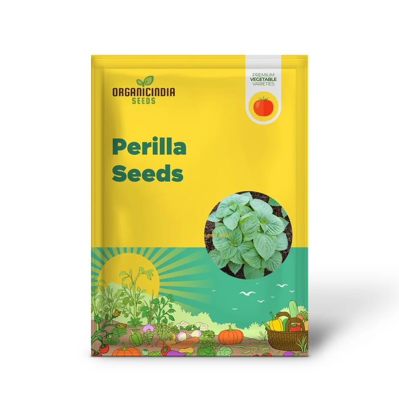 Perilla Seeds – Fresh, Flavorful Green Leaves for Vegetable & Herb Gardens