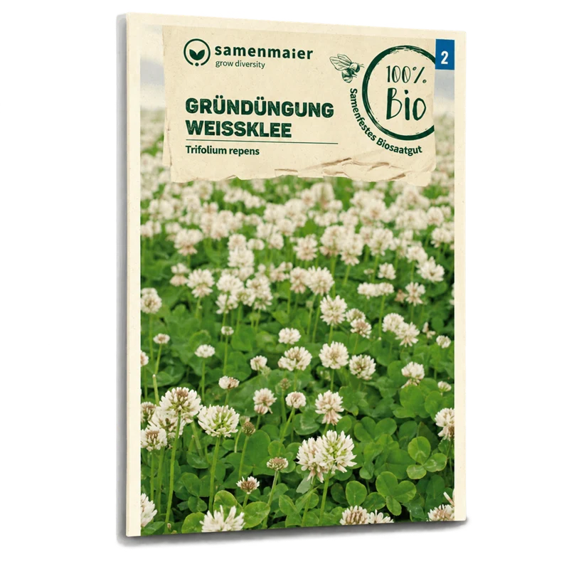 Bio-Weißklee Gründüngung