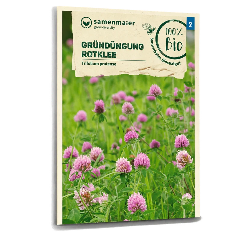 Bio-Rotklee Gründüngung