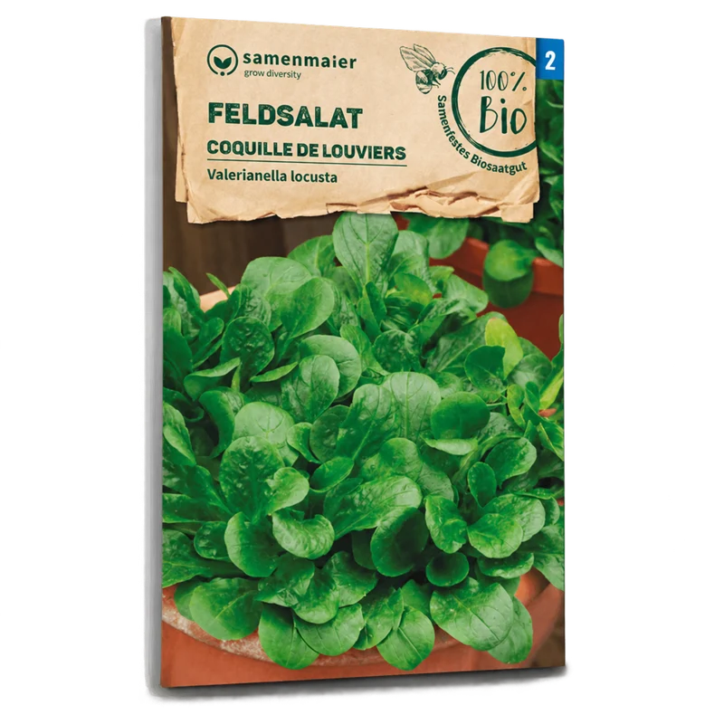 Bio-Feldsalat 'Coquille de Louviers'