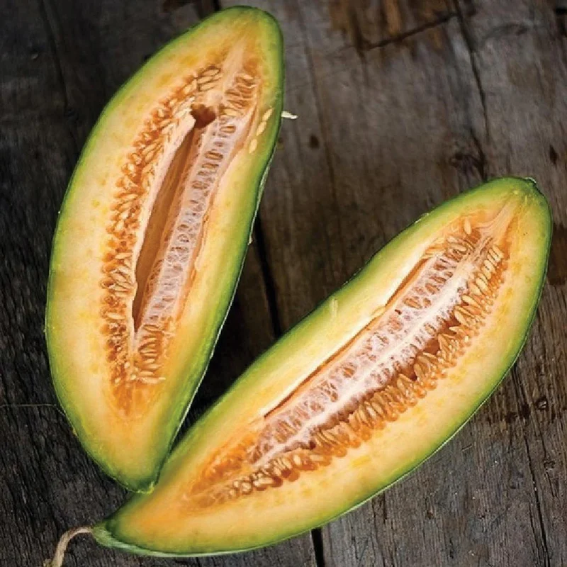 Banana Melon (Cucumis melo) – Fruit Seeds