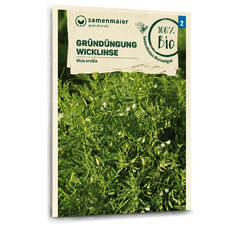 Bio-Wicklinse Gründüngung