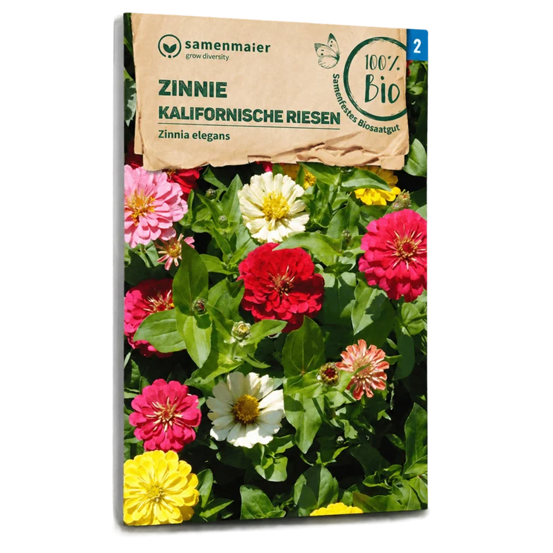 Bio-Zinnie 'Kalifornische Riesen' Mischung