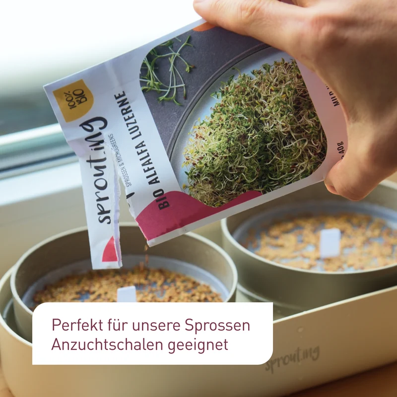 Bio-Sprossen Samen-Set Würzig-Scharf (4 x 40 g)