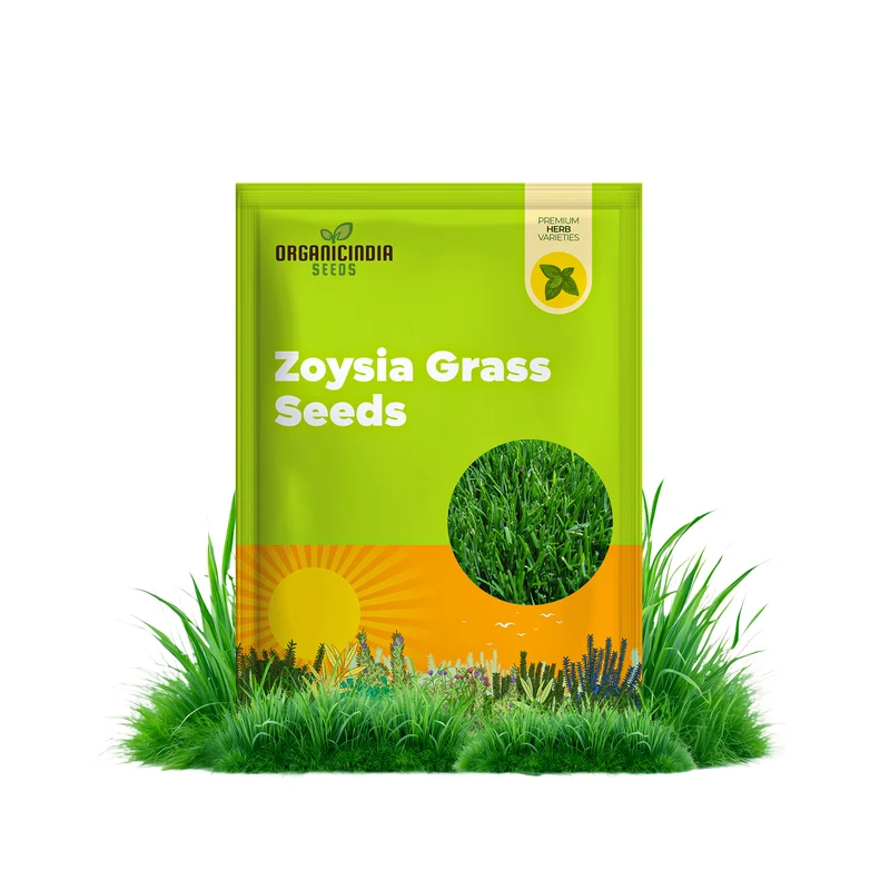 Zoysia Grass Seeds – Premium Turf Grass for Lawns, Golf Courses & Landscaping
