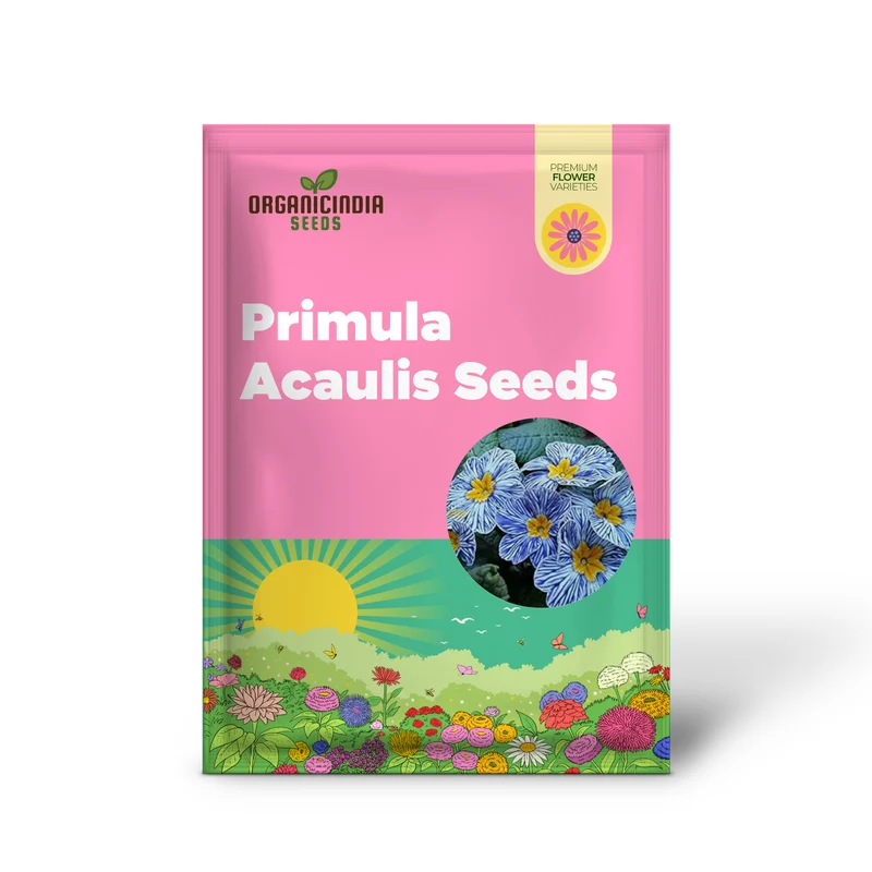 Primula Acaulis Light Blue Seeds – Premium European Variety for Vibrant Blooms