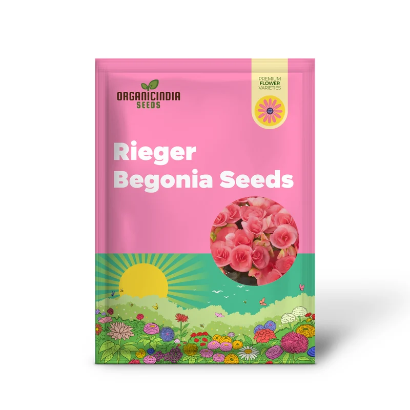 Pink Rieger Begonia Seeds – Showy Blooms & Attractive Foliage for Indoor/Outdoor Gardens