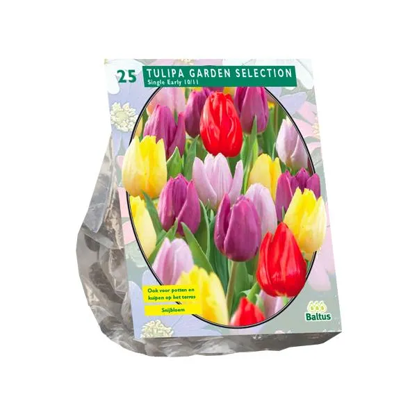 Tulipa Garden Selection – 25 Stück