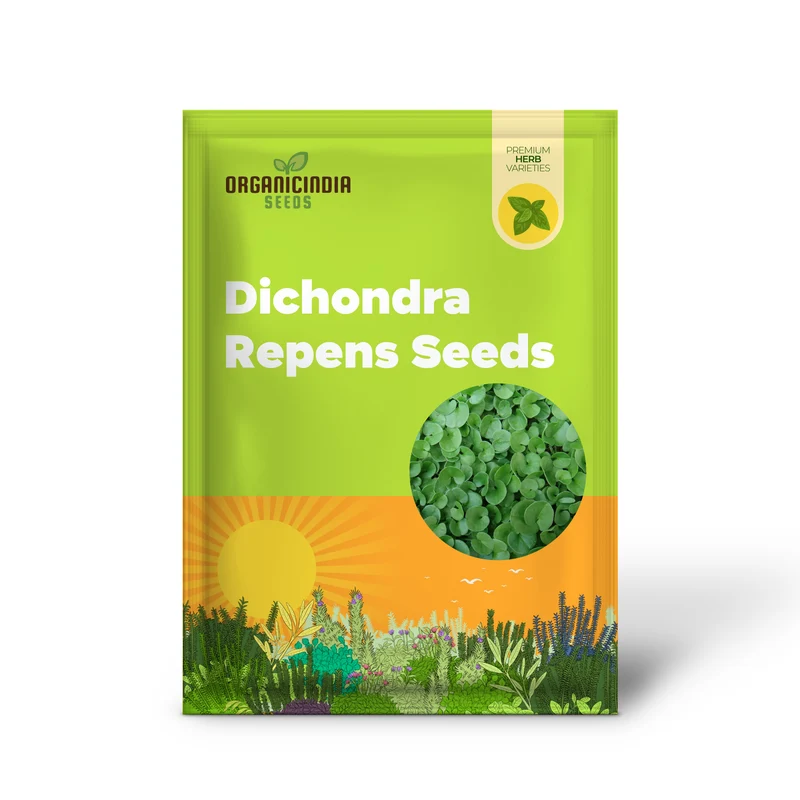 Dichondra Repens Seeds - Perennial Ground Cover Lawn Substitute