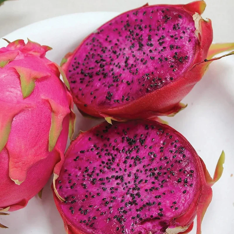 Purple Dragon Fruit Seeds