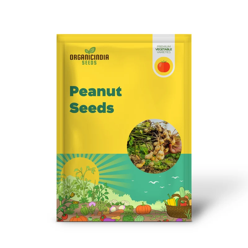 Peanut Seeds Virginia Jumbo, Non-GMO Fresh Garden Seeds, Gardener's Choice!