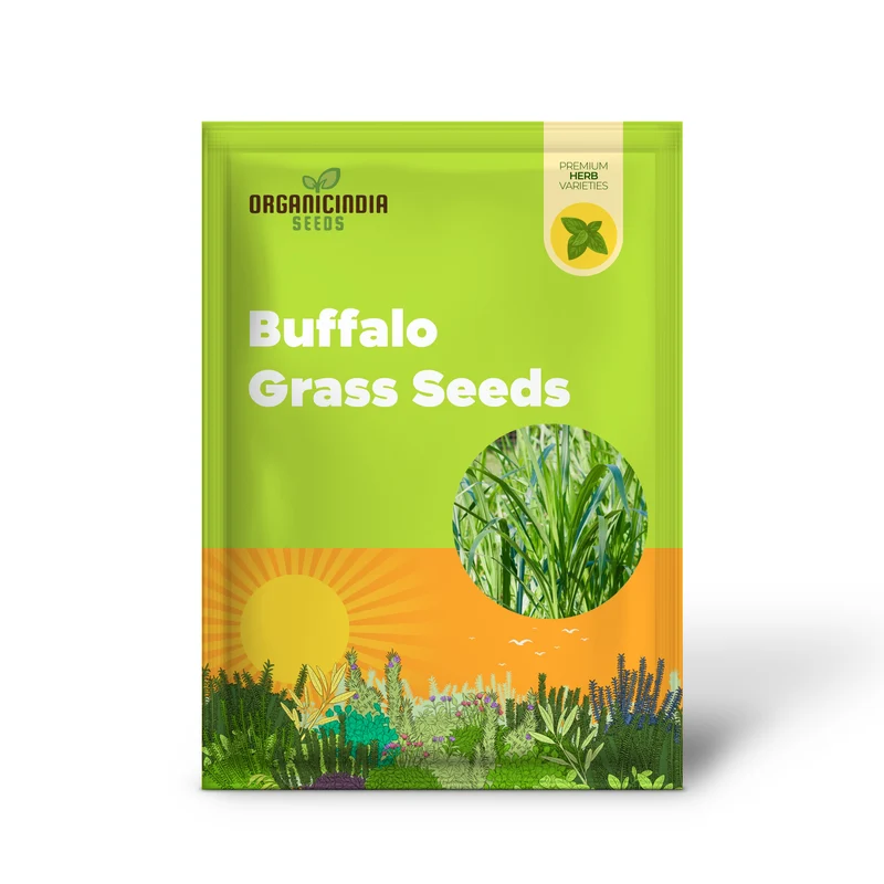 Buffalo Grass Seeds Bouteloua Dactyloides, Warm Season Perennial, Low-Growing Dense Turf, Drought Tolerant, Low Maintenance