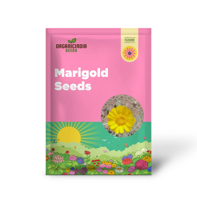 Marigold Seeds (Desert Marigold Seeds Baileya Multiradiata) - Drought-Tolerant Perennial for Rock Gardens