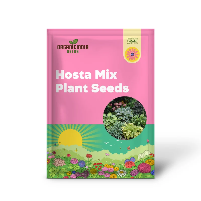 Hosta Seeds (Hosta Mix Plant Seeds) - Hardy Perennial Mix for Shade Gardens