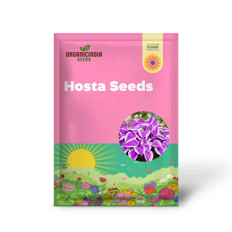 Purple Hosta Seeds, Perennial Hosta Plants for Outdoor Gardens, Low Maintenance And Easy to Grow