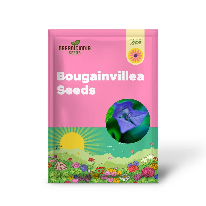 Blue Bougainvillea Spectabilis Seeds for Planting Vibrant Showy Bracts