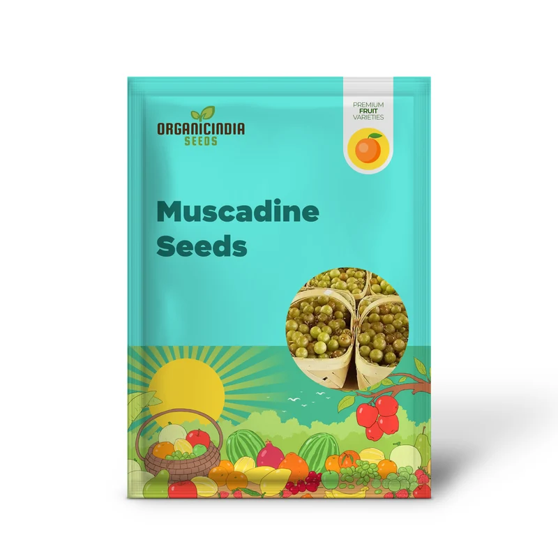 Heirloom Non-GMO Giant Scuppernong Golden Muscadine Seeds (15 Pieces)