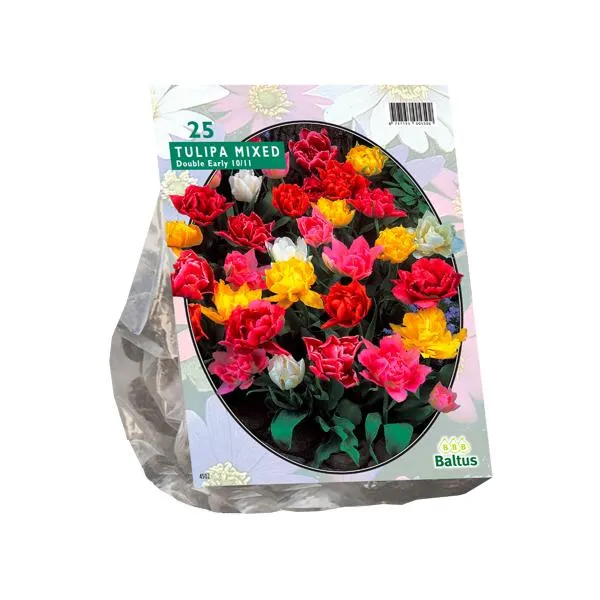 Tulipa Doppelmix - 20 Stück