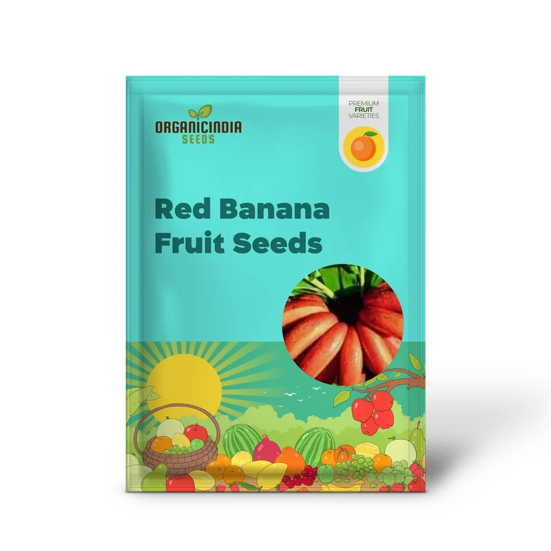 Red Banana Fruit Seeds for Planting - Grow Sweet, Unique Red Bananas at Home