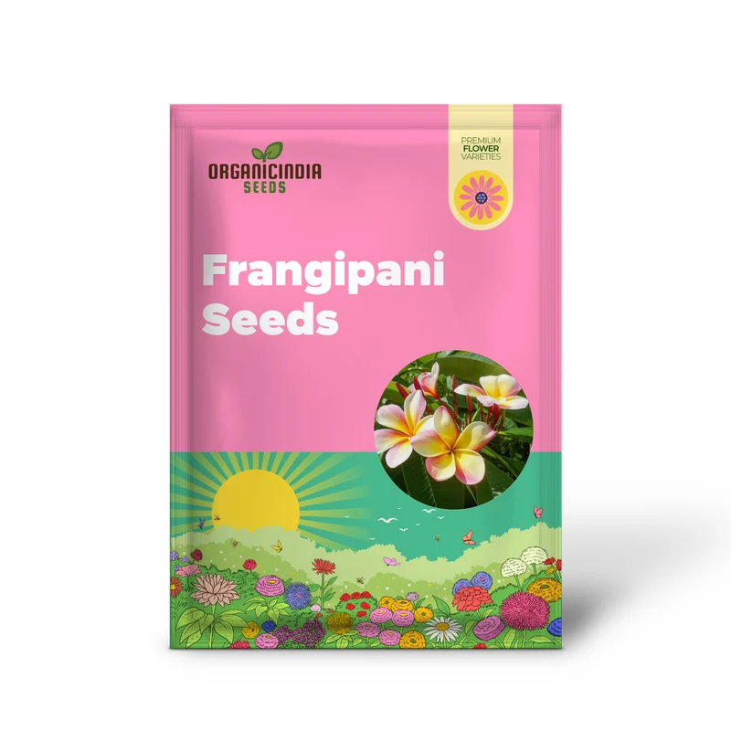Mixed Colors Plumeria Rubra Frangipani Seeds - 25 Pieces