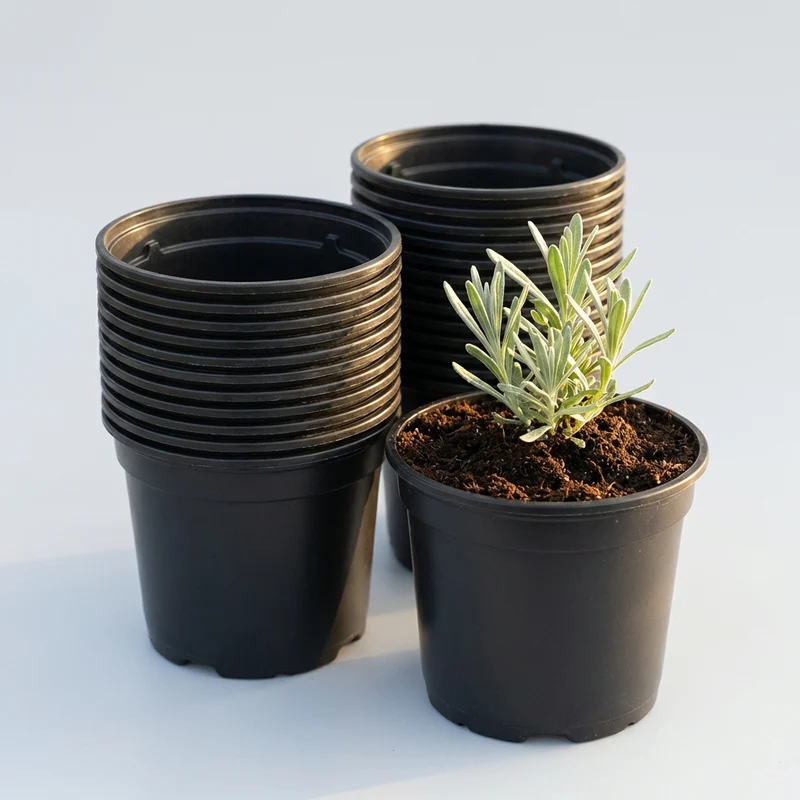 Schwarzer Anzuchttopf – Ø 10,5 cm, Höhe 9 cm