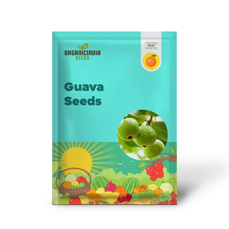 Guava Seeds - Red Psidium Guajava, Perennial Sweet & Fragrant Tropical Fruit