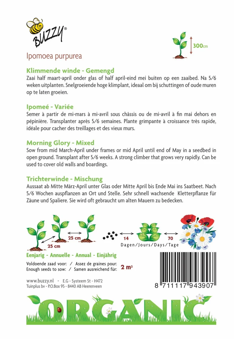 Ipomoea, Gemischte Kletterwinde (BIO)