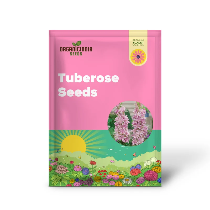 Pink Tuberose Seeds Fragrant Perennial Showy Cut Flowers, Deer And Rabbit Resistant for Garden Bed, Border, Patio And Container