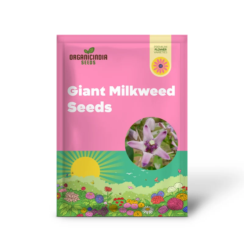 Calotropis Gigantea Seeds Giant Milkweed
